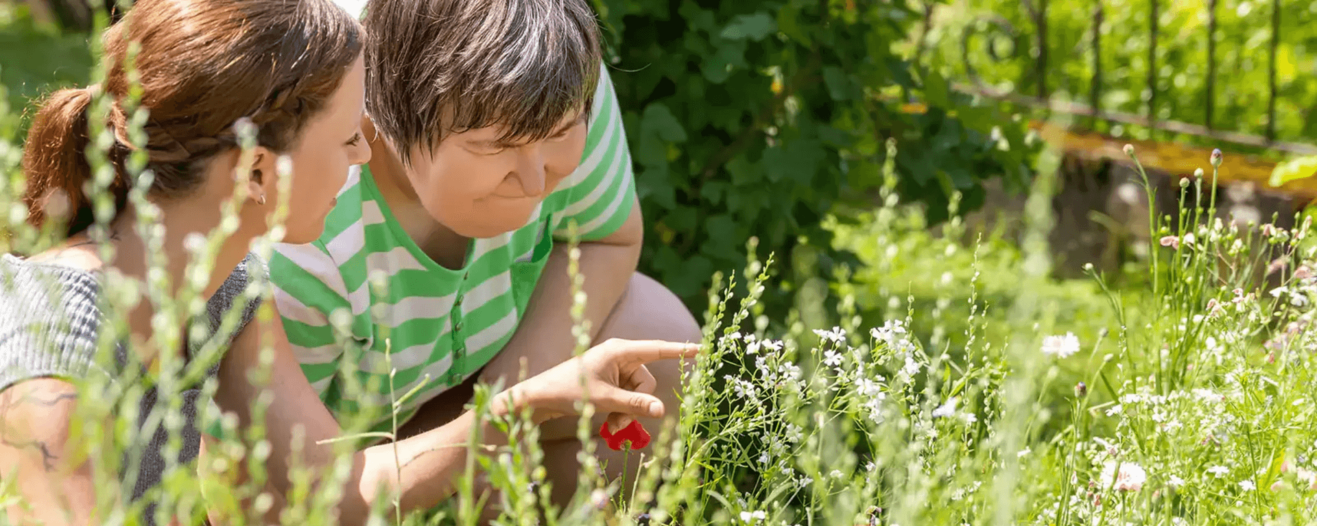 Beverly Farm Foundation