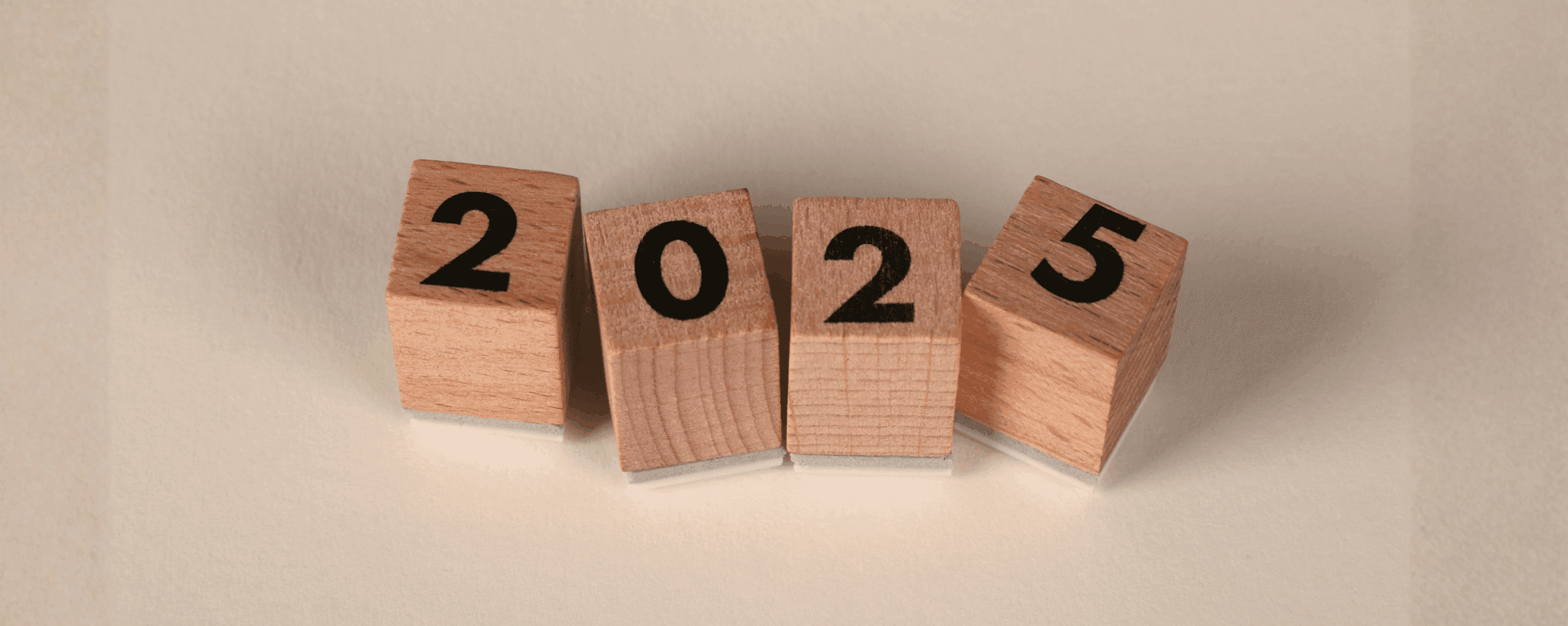 wooden blocks that say 2025.